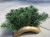 Ikebana podstawa baza podkład do kompozycji z OBCIĄŻENIEM MAŁA fokus 22cm ZŁOTO