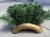 Ikebana podstawa baza podkład do kompozycji z OBCIĄŻENIEM MAŁA fokus 22cm ZŁOTO