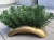 Ikebana podstawa baza podkład do kompozycji z OBCIĄŻENIEM DUŻA fokus 22cm ZŁOTO