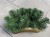 Ikebana podstawa baza podkład do kompozycji z OBCIĄŻENIEM DUŻA fokus 22cm ZŁOTO