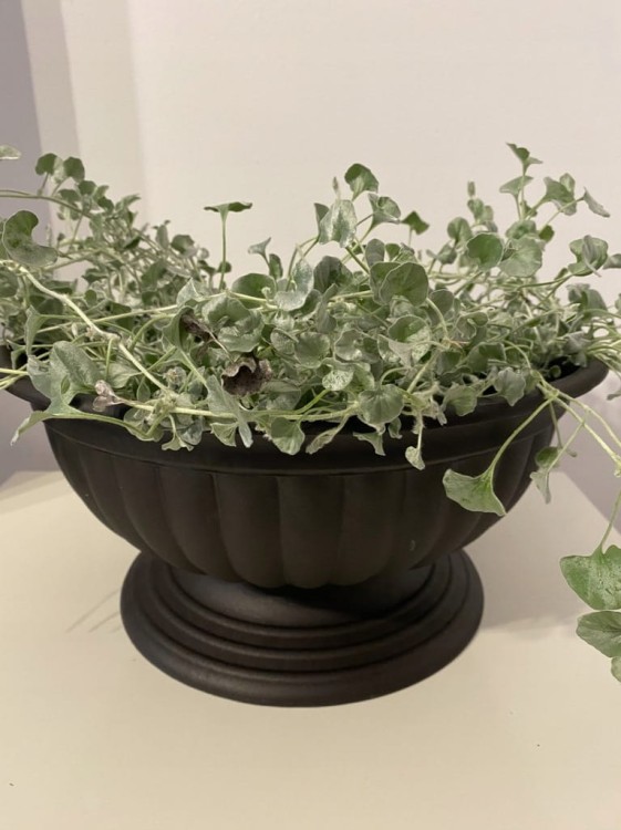 Miska Osłonka Doniczka CZARNY GAZON 35cm
