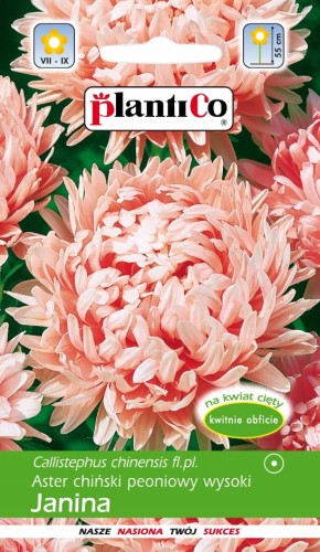 Aster chiński peoniowy wysoki różowy janina 1g plantico