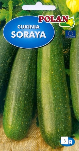 Cukinia dynia SORAYA 3g polan nasiona warzyw