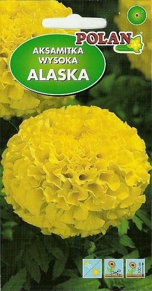 Aksamitka wysoka ALASKA żółta 2g