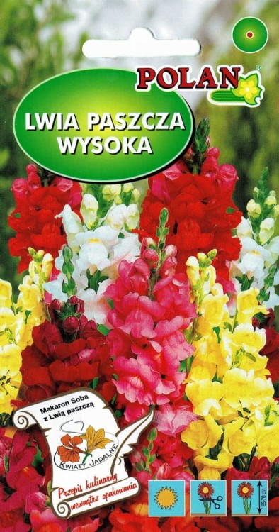 LWIA PASZCZA WYSOKA 0,5g nasiona MIX polan