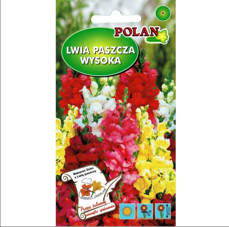 LWIA PASZCZA WYSOKA 0,5g nasiona MIX polan