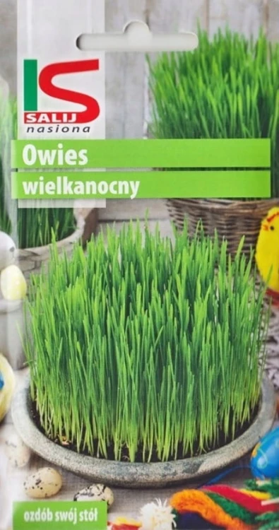 Owies Wielkanocny 20g nasiona salnas