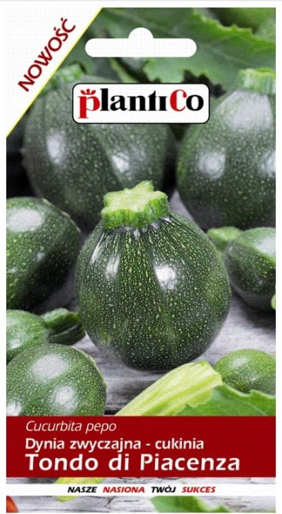 Cukinia dynia zwyczajna Tondo di Piacenza 2g