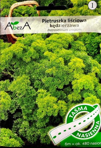Pietruszka liściowa kędzierzawa NASIONA NA TAŚMIE 6m ok.480nasion