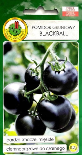 Pomidor gruntowy BLACKBALL 0,2g nasiona warzyw