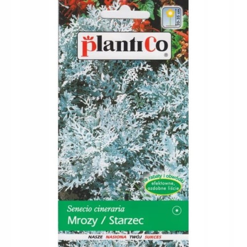 Starzec mrozy 0,2g nasiona kwiatów Plantico