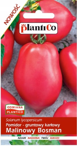 Pomidor gruntowy karłowy Malinowy Bosman 0,5g nasiona warzyw plantico