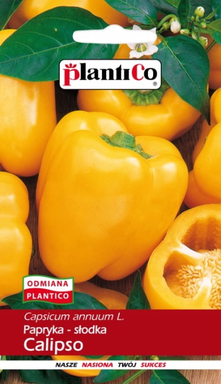 Papryka słodka CALIPSO 0,5g nasiona warzyw plantico