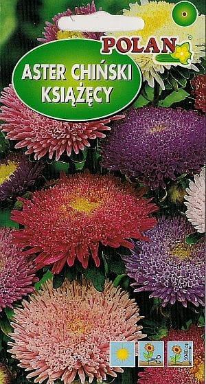 Aster chiński KSIĄŻĘCY 1g Nasiona kwiatów!