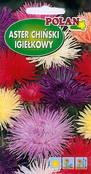 Aster chiński IGIEŁKOWY 1g Nasiona kwiatów