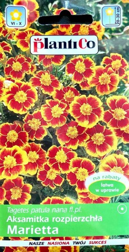 Aksamitka rozpierzchła Marietta 1g nasiona kwiatów plantico