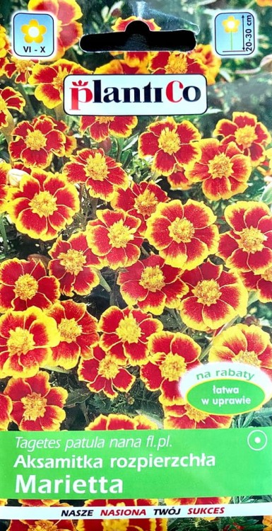 Aksamitka rozpierzchła Marietta 1g nasiona kwiatów plantico