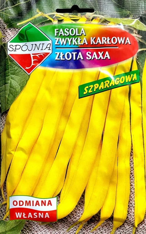 Fasola szparagowa karłowa ZŁOTA SAXA 50g spójnia
