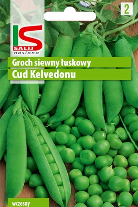 Groch łuskowy niski CUD KELVEDONU 50g nasiona salnas