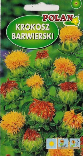 Krokosz barwierski 1g nasiona kwiatów
