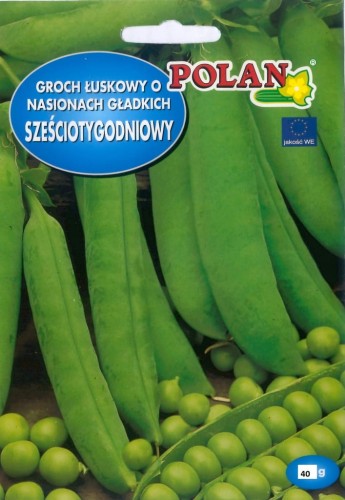 Groch łuskowy SZEŚCIOTYGODNIOWY 40g nasiona warzyw