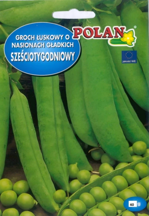 Groch łuskowy SZEŚCIOTYGODNIOWY 40g nasiona warzyw