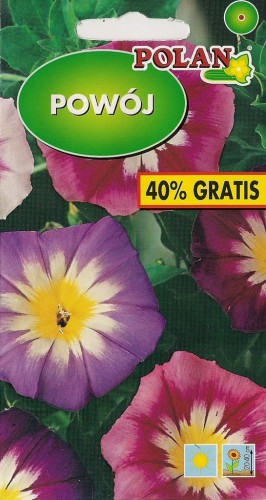 POWÓJ trójbarwny mix 7g nasiona kwiatów polan