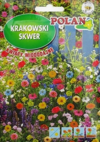 Nasiona krakowski skwer KWIATY MIODODAJNE 30g nasiona kwiatów