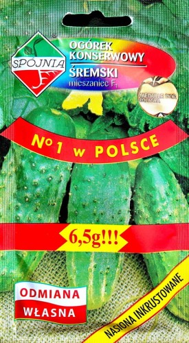 Ogórek konserwowy ŚREMSKI F1 6,5g nasiona warzyw