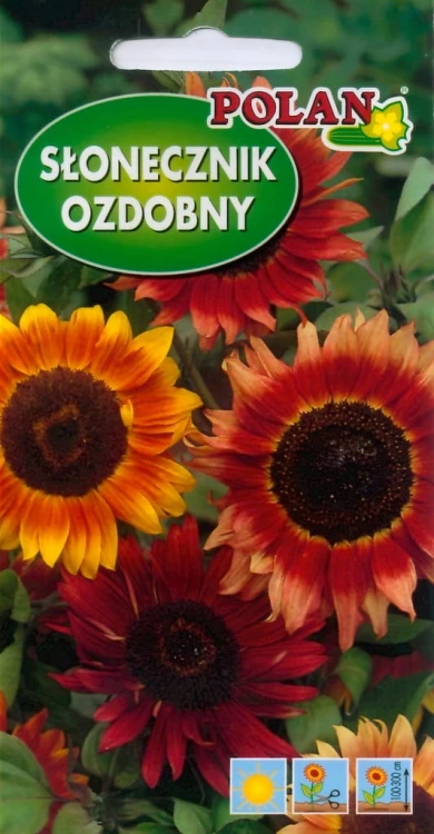 Słonecznik ozd. odcienie czerwone 5g nasiona kwiatów polan!