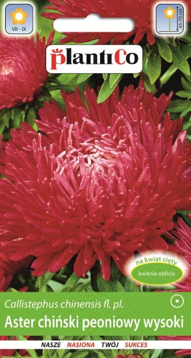 Aster chiński peoniowy wysoki czerwony 1g plantico