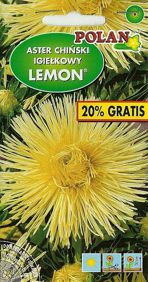 Aster chiński Igiełkowy LEMON żółty 1,2g nasiona
