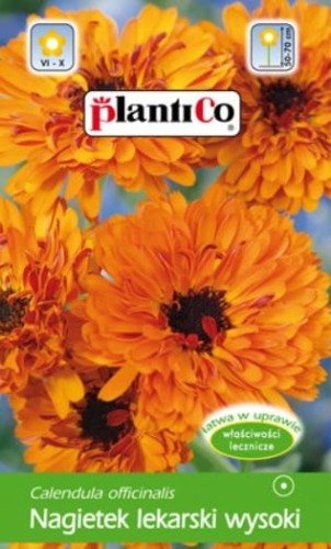 Nagietek LEKARSKI wysoki 2g RADIO POMARAŃCZOWY