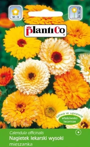 Nagietek LEKARSKI wysoki 2g MIESZANKA plantico!