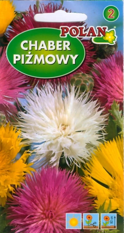 CHABER PIŻMOWY 1G Nasiona kwiatów polan