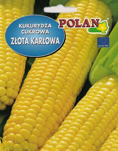 Kukurydza cukrowa złota karłowa 20g polan