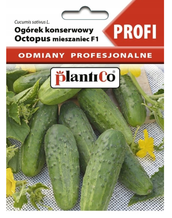 Ogórek gruntowy OCTOPUS F1 1,5g nasiona profesjonalne