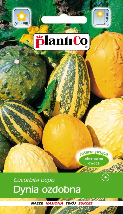 Dynia ozdobna mieszanka 2g Plantico nasiona