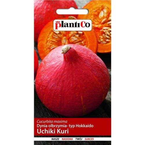 Dynia olbrzymia ozdobna UCHIKI KURI 3g plantico