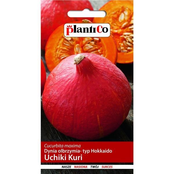 Dynia olbrzymia ozdobna UCHIKI KURI 3g plantico