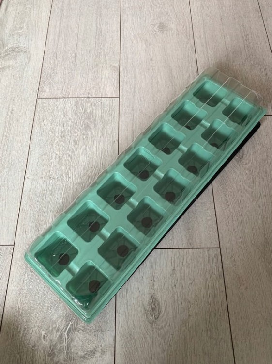 MINISZKLARENKA szklarnia osłona 14 otworów 52x16cm