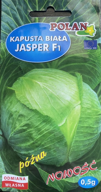 Kapusta biała jasper 0,5g nasiona kapusty