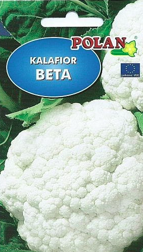 kalafior Beta 1g nasiona kalafiora warzyw