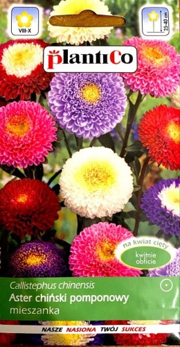 Aster chiński pomponowy mix 1g nasiona kwiatów