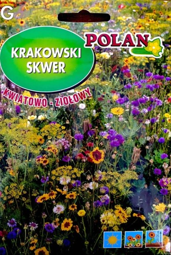Nasiona krakowski skwer KWIATOWO-ZIOŁOWY 20g!