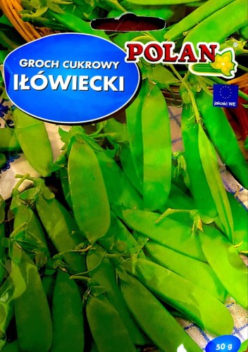 Groch siewny cukrowy IŁÓWIECKI 50g nasiona
