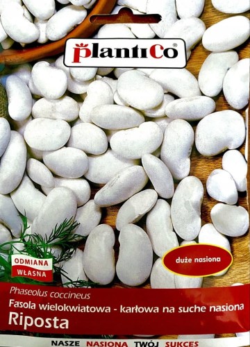 Fasola wielokwiatowa karłowa RIPOSTA 50g nasiona