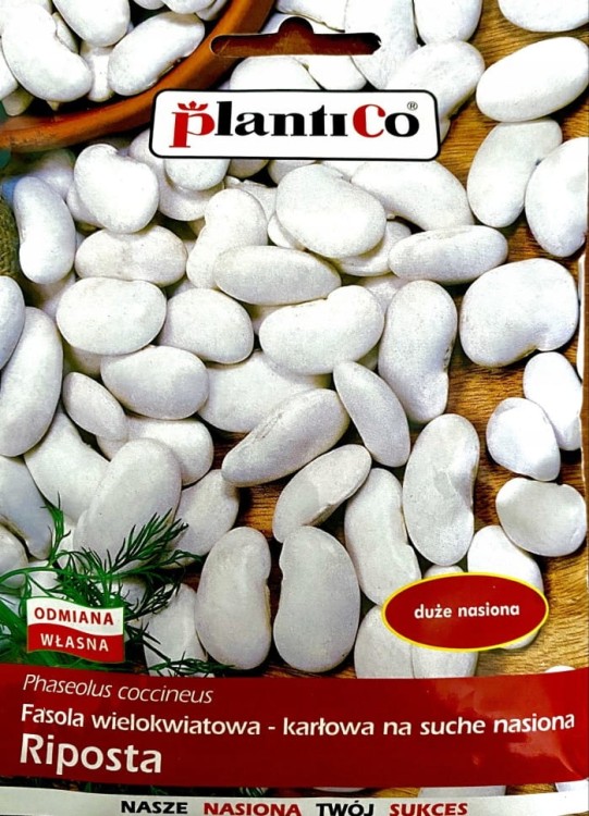Fasola wielokwiatowa karłowa RIPOSTA 50g nasiona