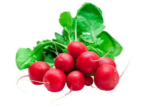 Rzodkiewka carmen 10g nasiona warzyw rzodkiewki