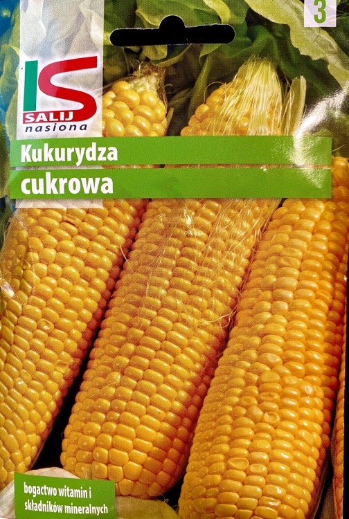 Kukurydza cukrowa złota karłowa 15g nasiona kukurydzy